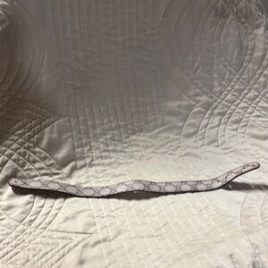 Gucci Stylish Snake Print Belt